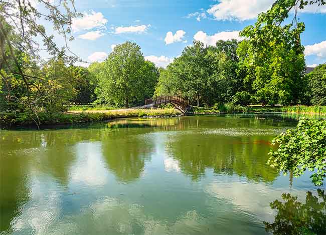 Ein ruhiger Teich mit grünem Wasser, umgeben von üppigen Bäumen und einer kleinen Holzbrücke unter einem strahlend blauen Himmel mit vereinzelten Wolken.