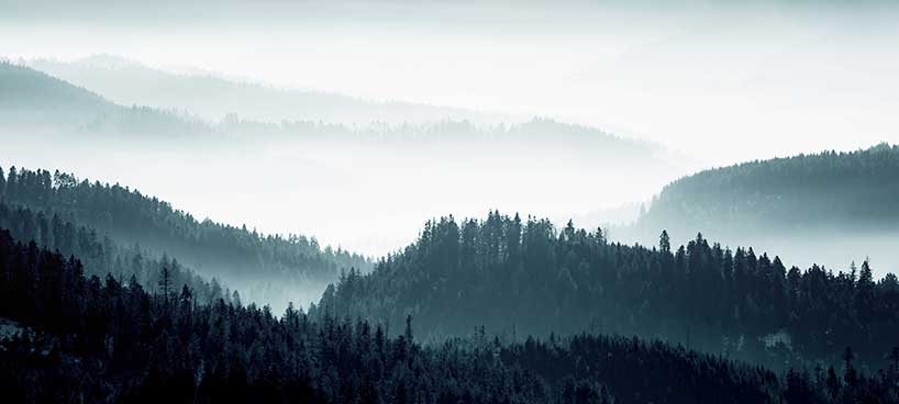 Eine heitere, neblige Landschaft mit mehreren baumbedeckten Hügeln, die in der Ferne verschwinden und eine ruhige und stimmungsvolle Szene schaffen.
