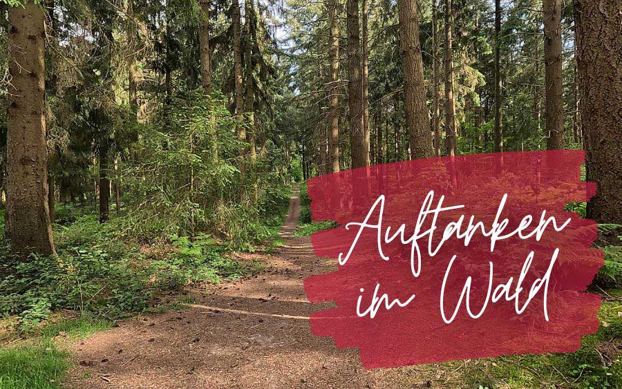 Auftanken im Wald